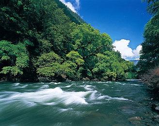 月姬格斗《Melty Blood: Type Lumina》远野志贵角色演示宣传片